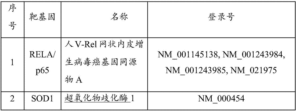 Oligonucleotide molecule used for inhibiting mRNA expression of VEGFA target gene and set composition thereof