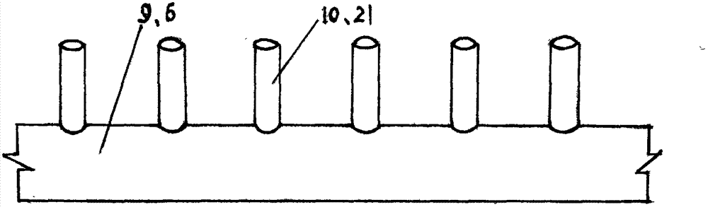 Solar energy collection device for drinking water