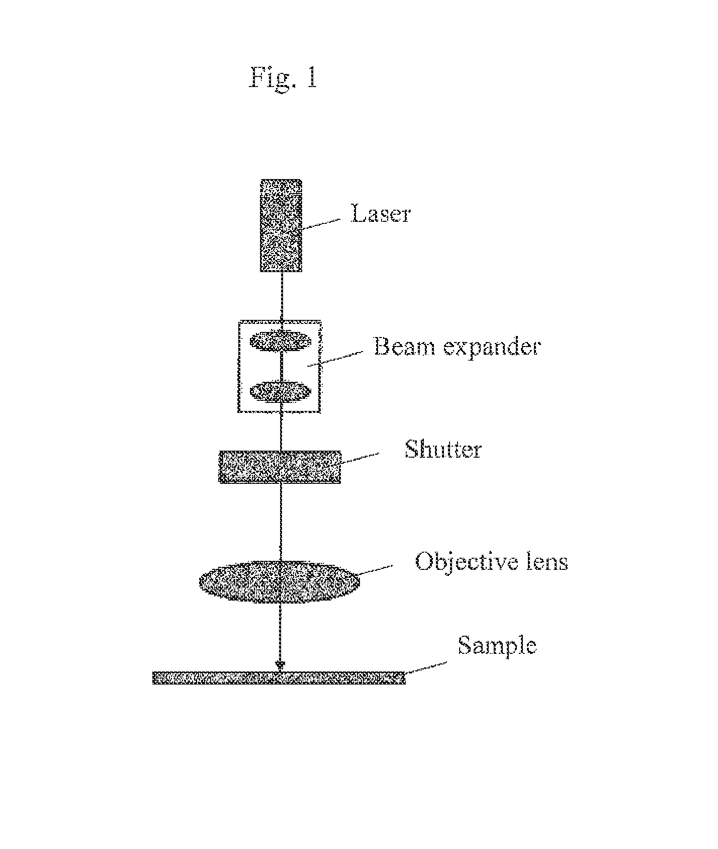 Particulate magnetic recording medium and magnetic recording device