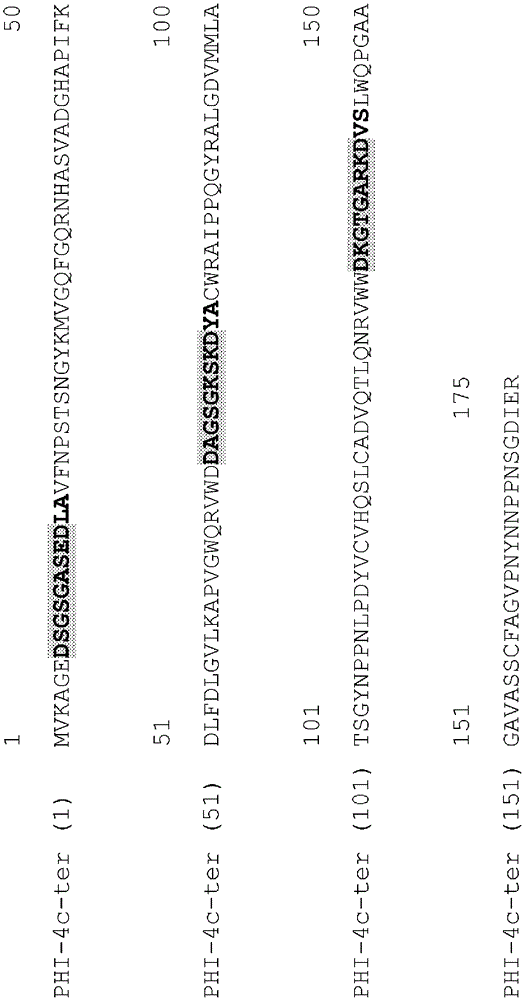 Phi-4 polypeptides and methods for their use