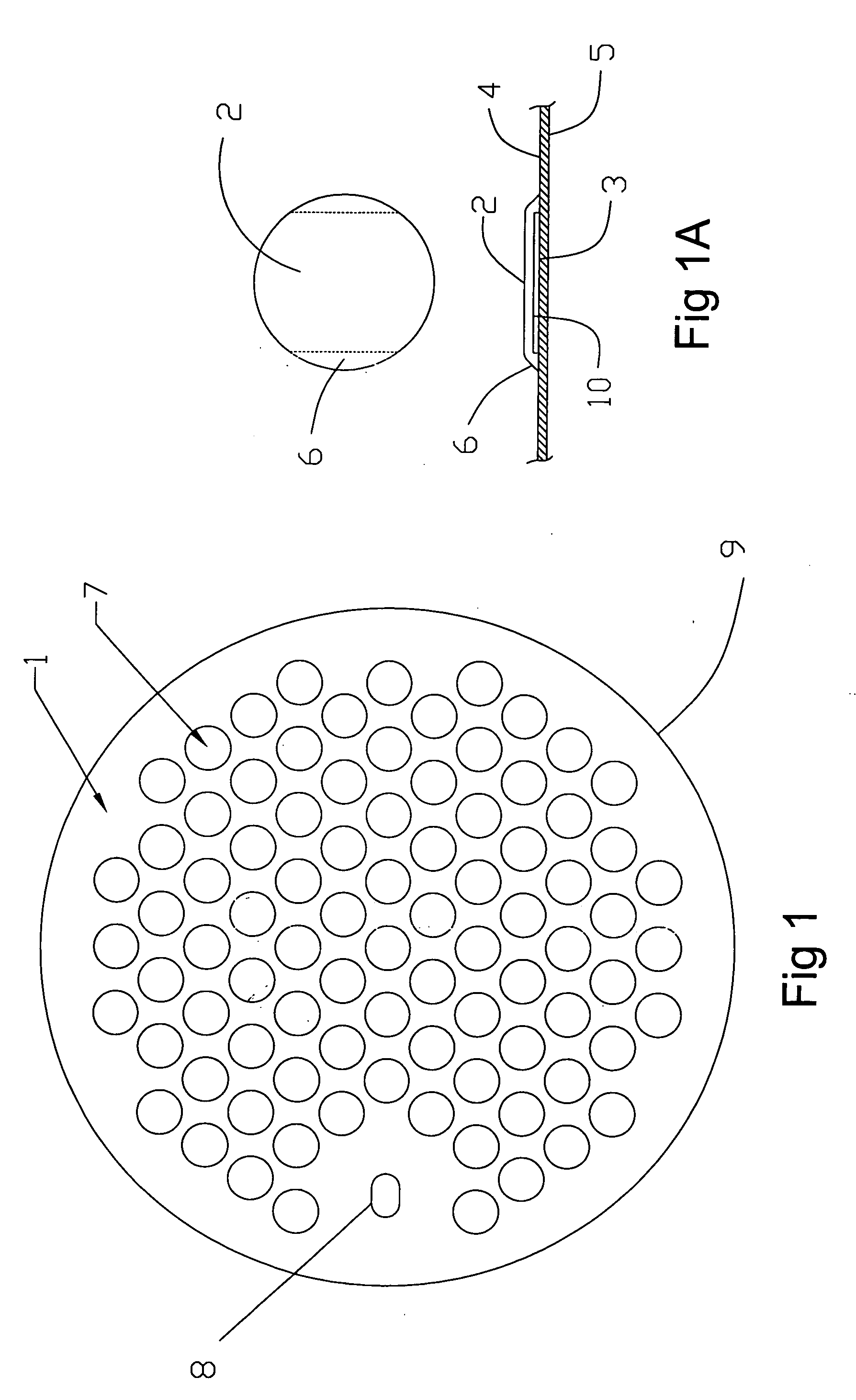 Lauter tun false bottom