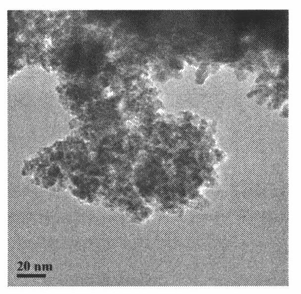 Water ozonization treatment method by taking cerium oxide nanomaterial as catalyst