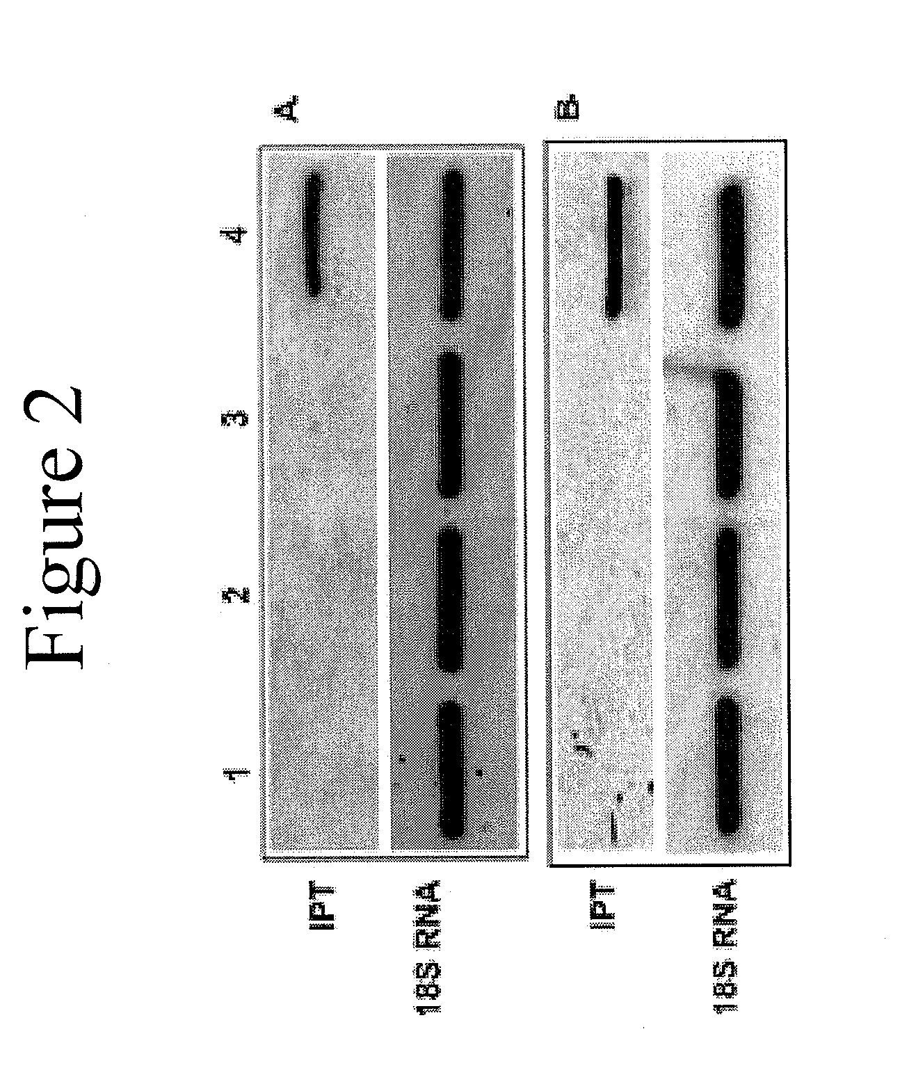 Method and composition for increasing plant survival & viability under cold storage, or dark and cold storage conditions