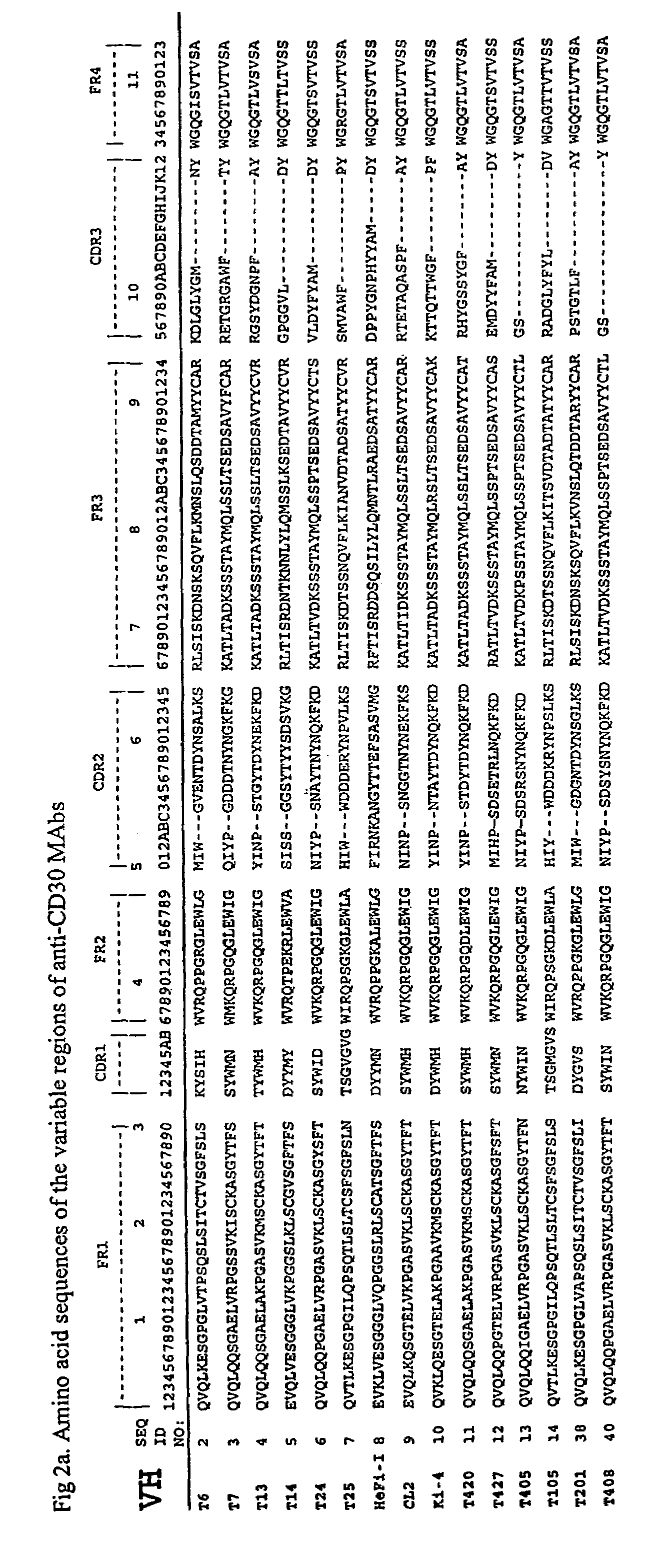 Anti-CD30 stalk and anti-CD30 antibodies suitable for use in immunotoxins