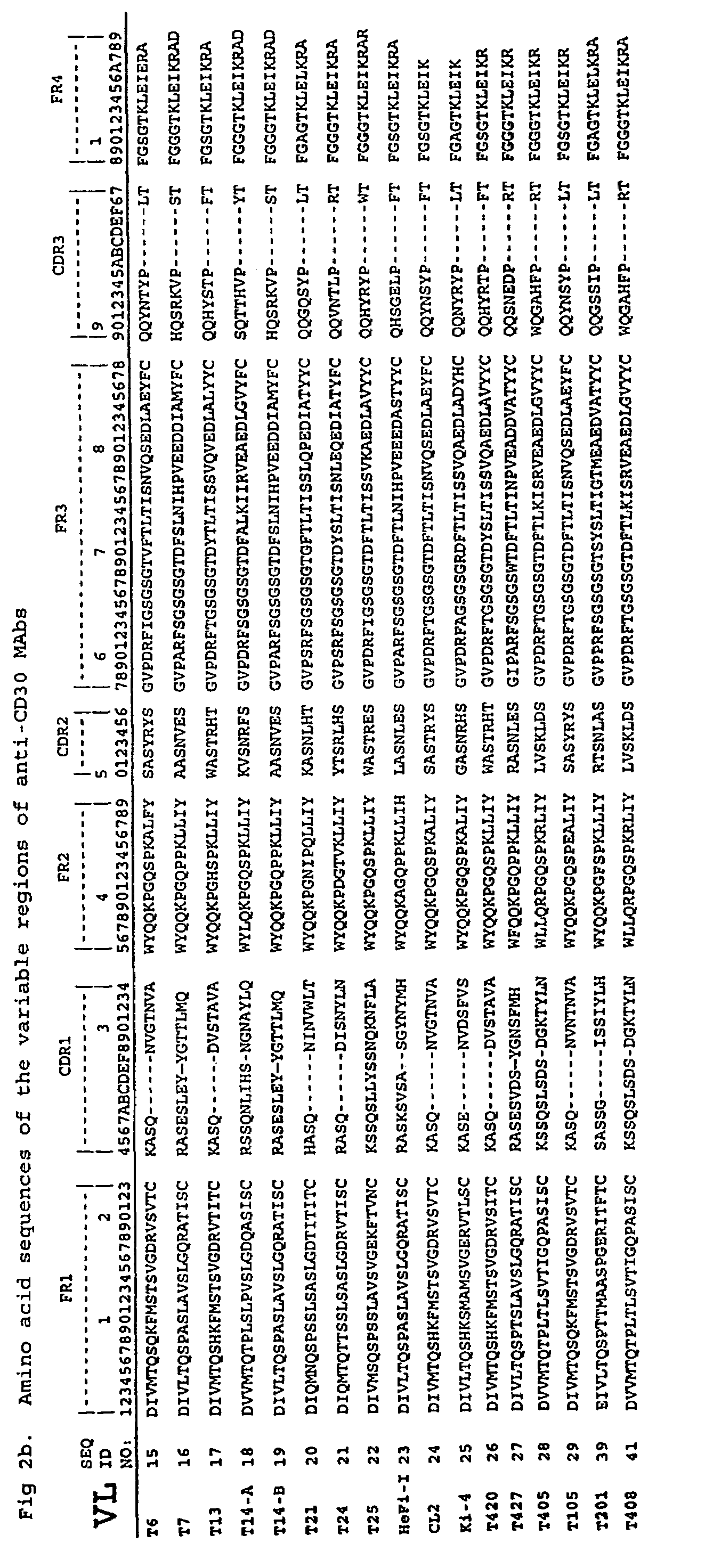 Anti-CD30 stalk and anti-CD30 antibodies suitable for use in immunotoxins