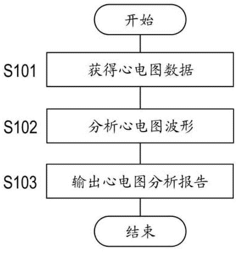 Electrocardiogram analysis report, electrocardiogram analysis apparatus, and electrocardiogram analysis program