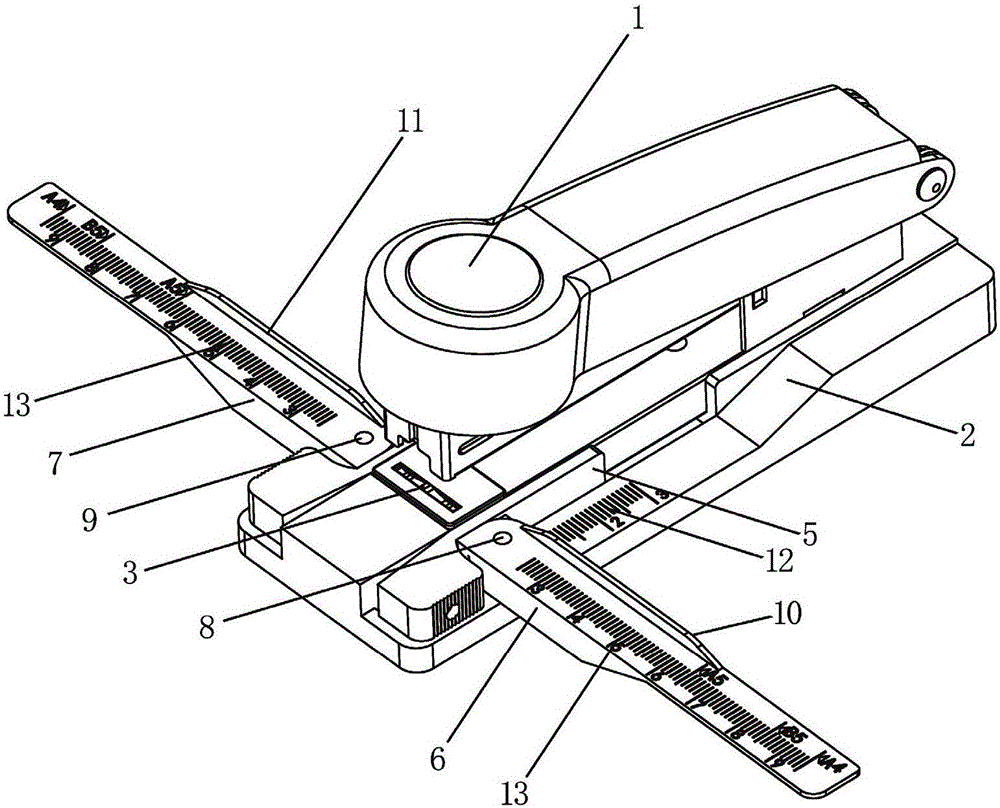 Stapler with stapling ruler