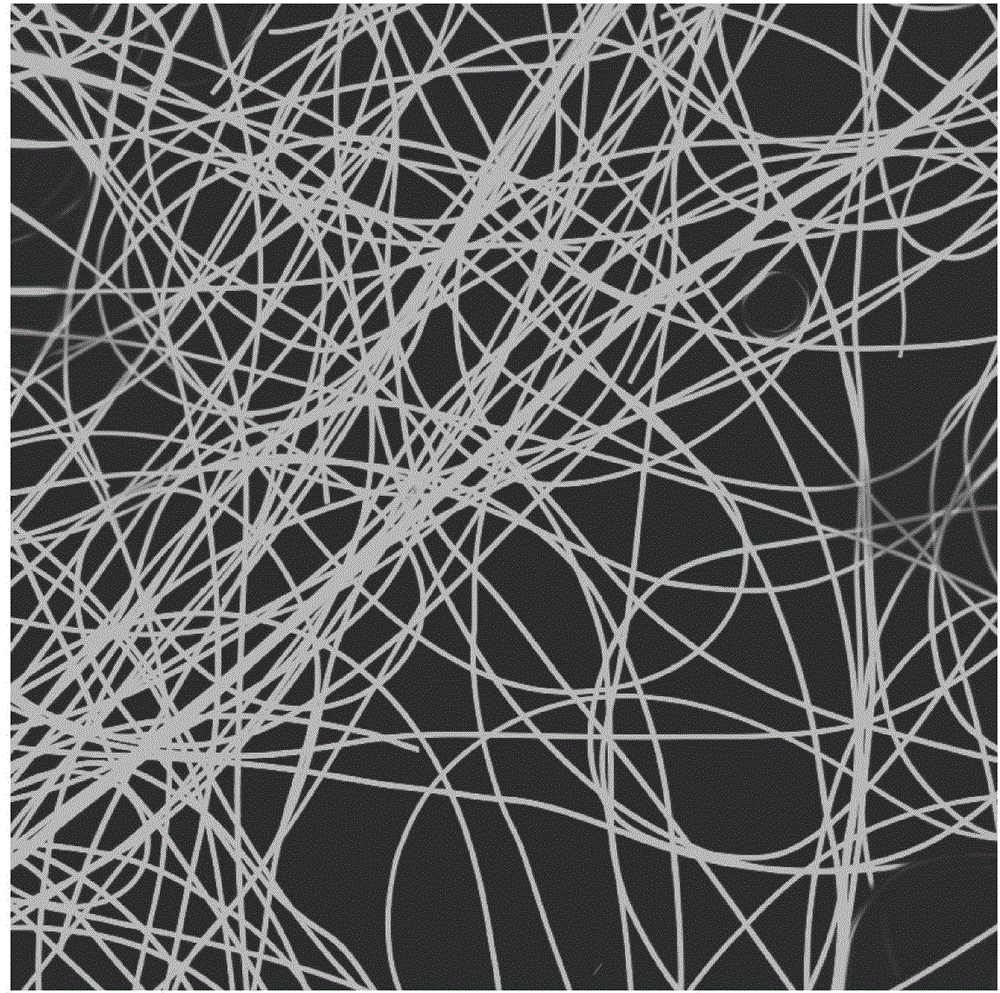 Preparation method of porous oil-absorbing fiber with fluorescence response