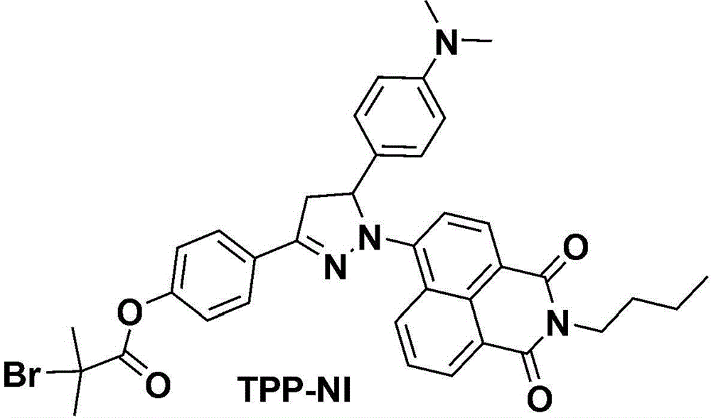 Preparation method of porous oil-absorbing fiber with fluorescence response