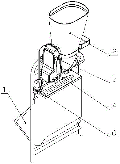 An automatic animal feeding device