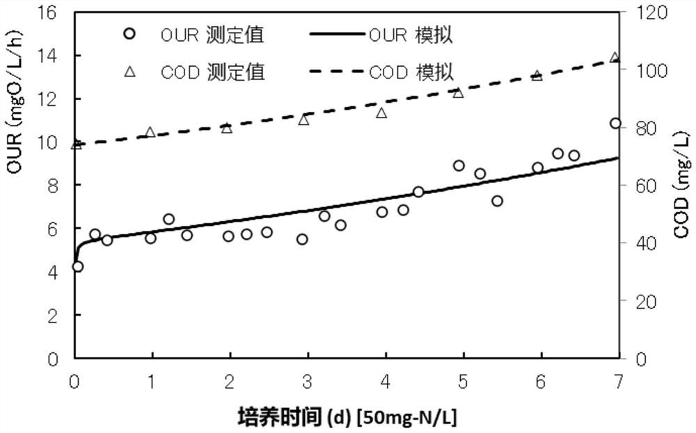 Construction method and application of two-step decay model of nitrite oxidizing bacteria