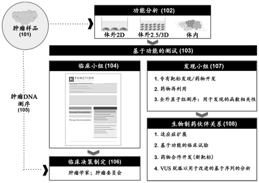 Genetic pharmacopoeia for comprehensive functional analysis of human cancer