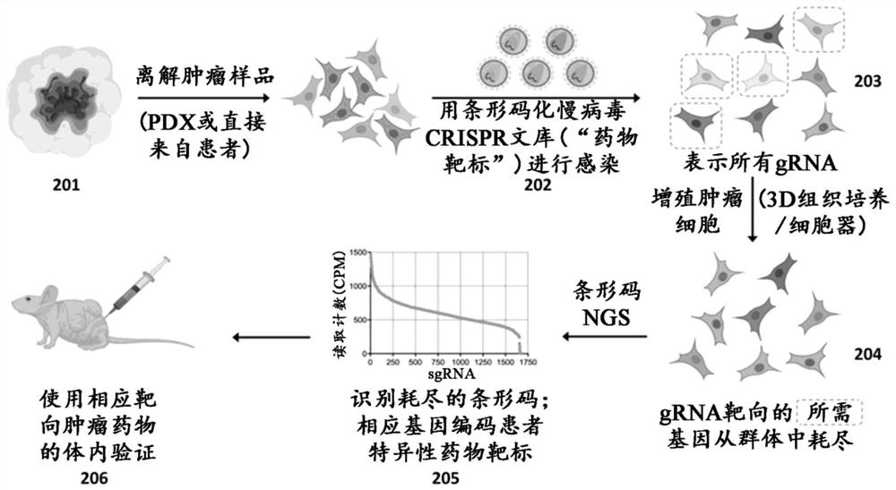 Genetic pharmacopoeia for comprehensive functional analysis of human cancer