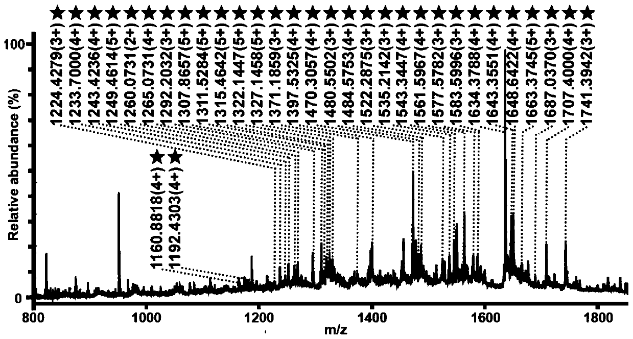 A method for the enrichment and separation of glycopeptides based on two-dimensional porous crystalline nitrogen-doped carbon materials