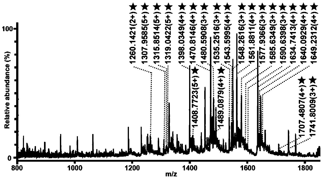 A method for the enrichment and separation of glycopeptides based on two-dimensional porous crystalline nitrogen-doped carbon materials