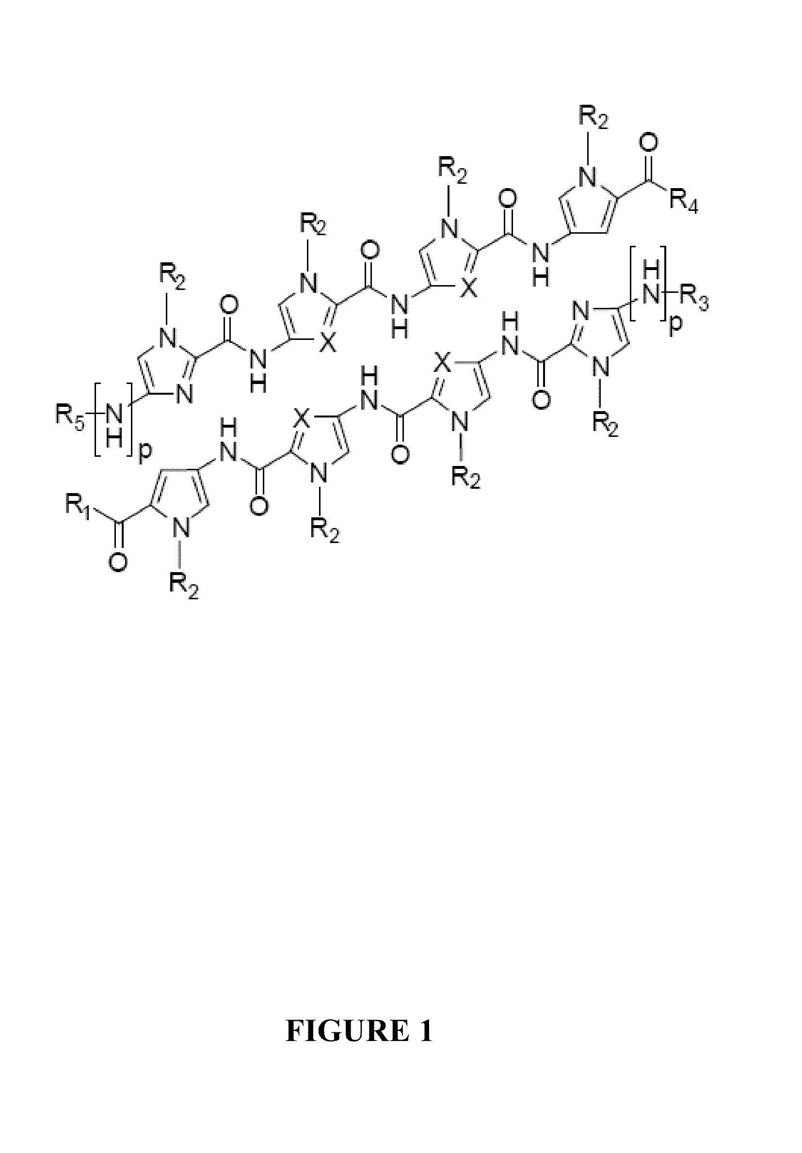 Inhibitors for steroid response elements and RNA polymerase ii and related methods
