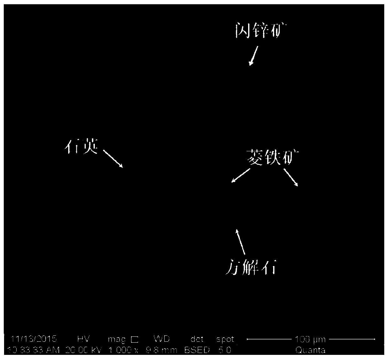 A method for analyzing the distribution characteristics of zinc in gold-copper mine tailings