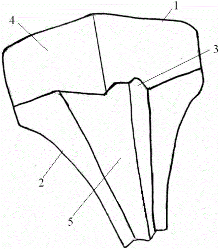 Urination device for females