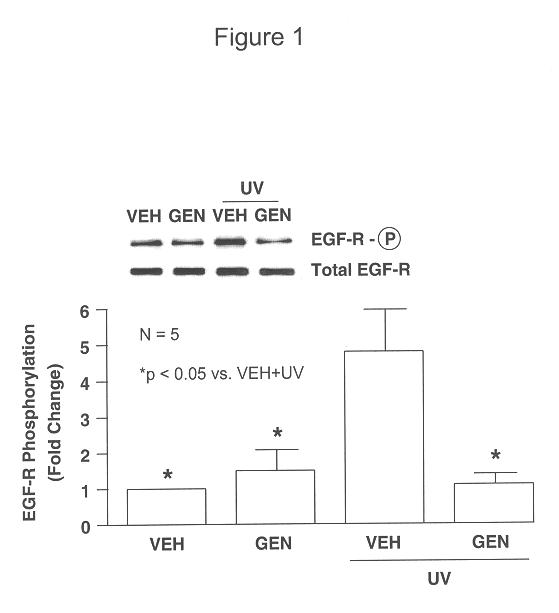 Use of natural EGFR inhibitors to prevent side effects due to retinoid therapy, soaps, and other stimuli that activate the epidermal growth factor receptor
