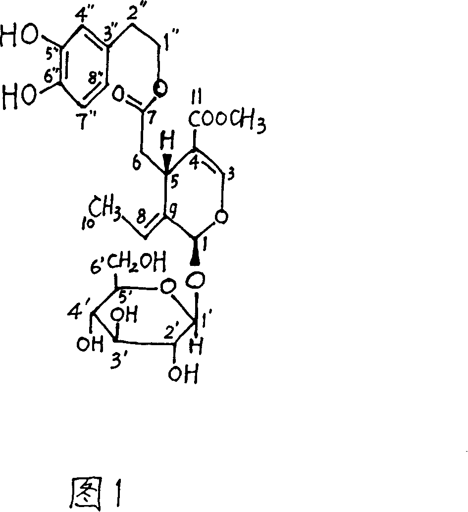 Method for synthesizing secoiridoid glycosides compound