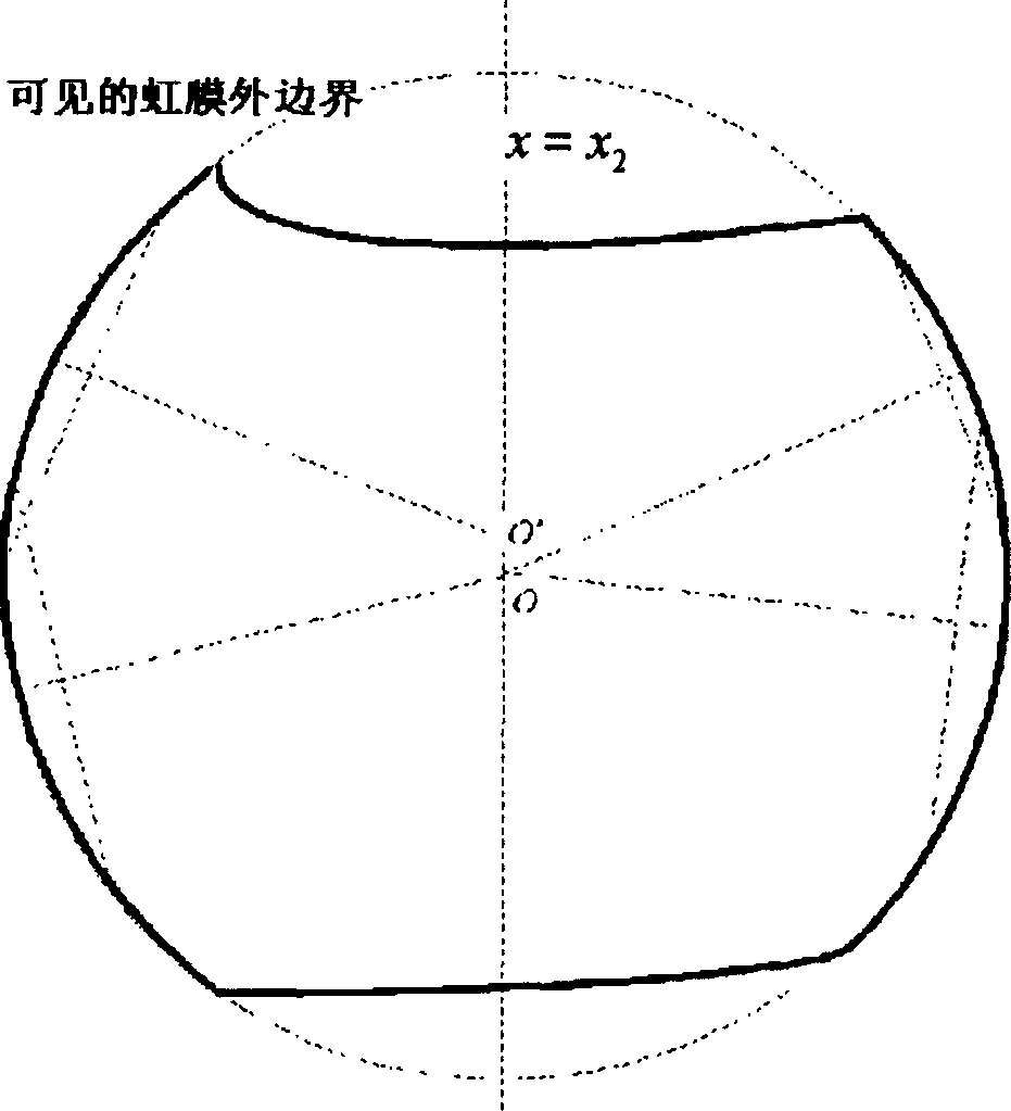 Image quality evaluating method for iris identification system