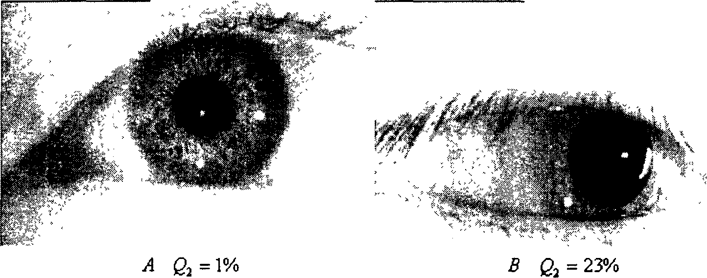 Image quality evaluating method for iris identification system