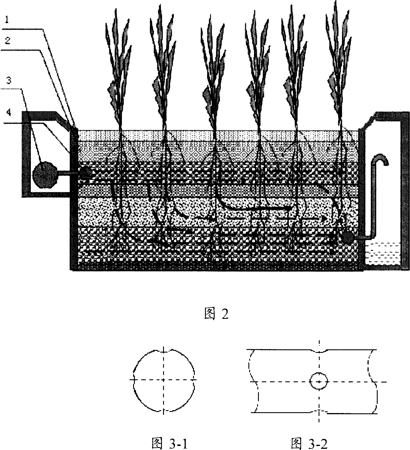 Polluted water ecological treatment composite process