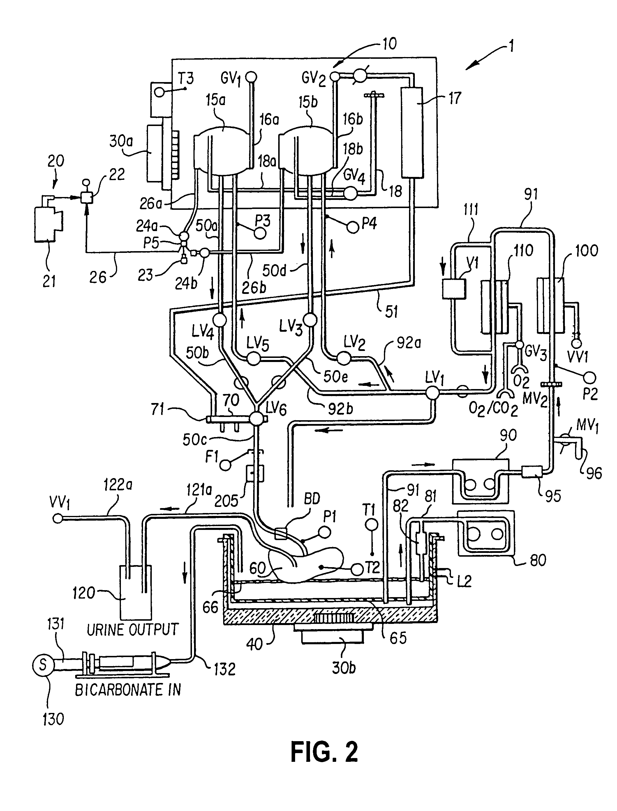 Apparatus and method for perfusion and determining the viability of an organ