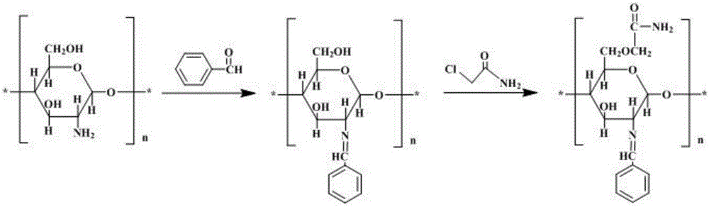 O-acetamide chitosan Schiff-base and preparation method thereof