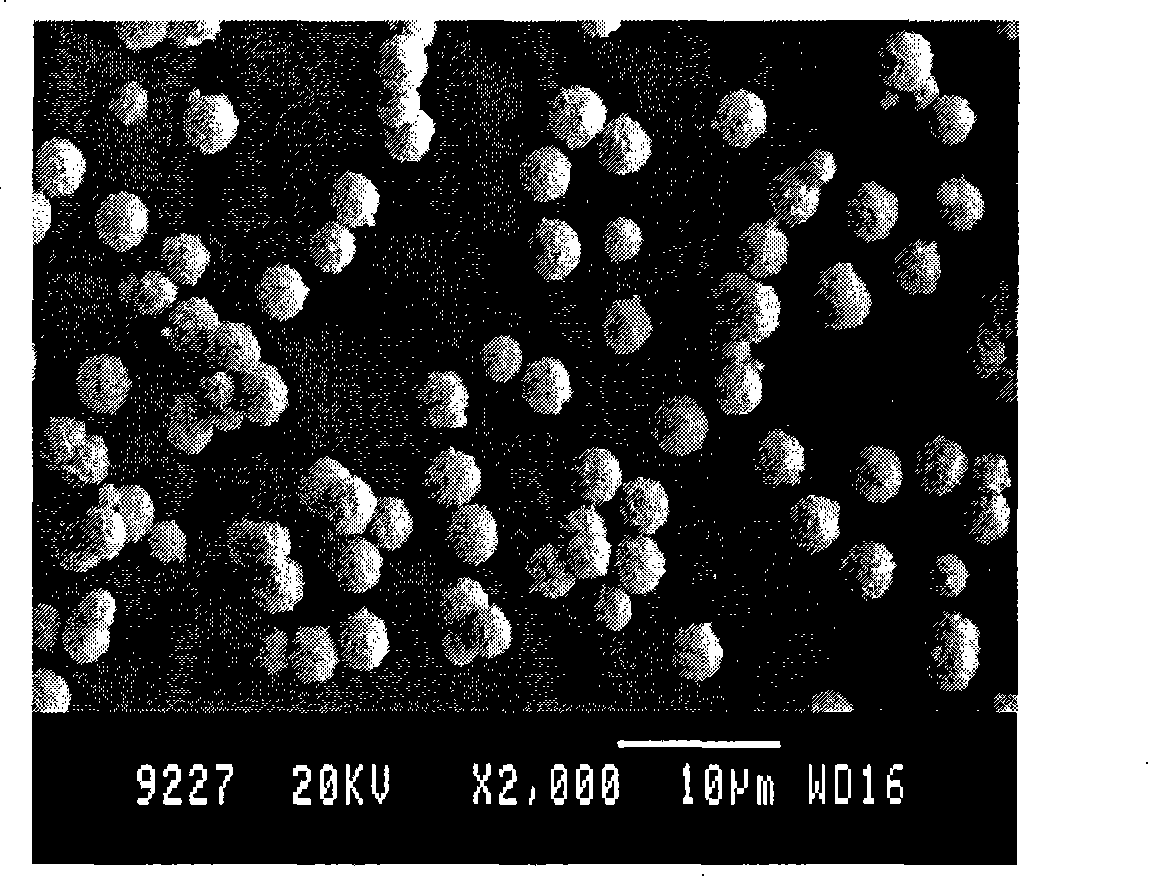 Wet chemical preparation method containing spherical silver powder