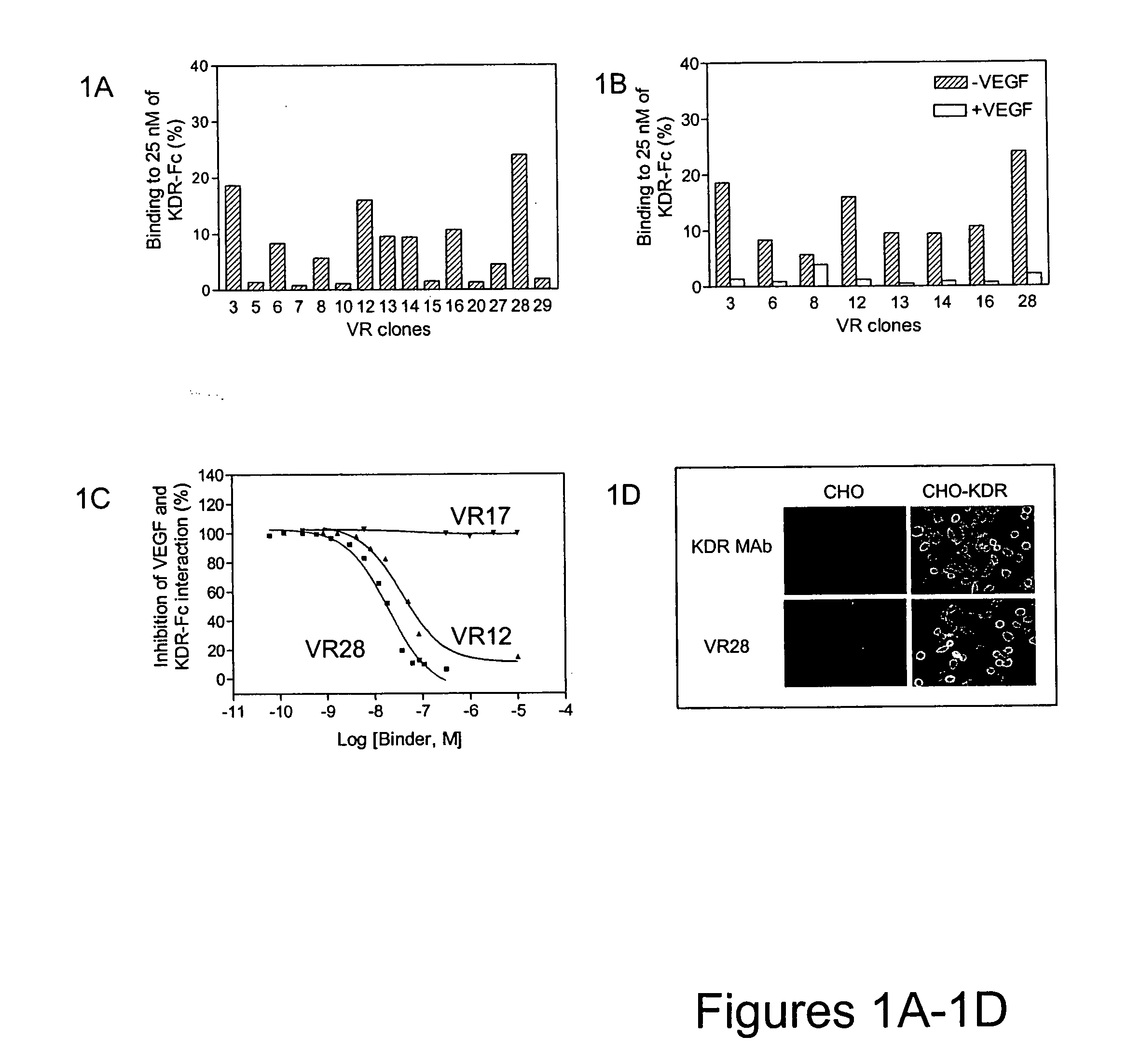 Pharmacokinetic modulation and compositions for modified Fn3 polypeptides