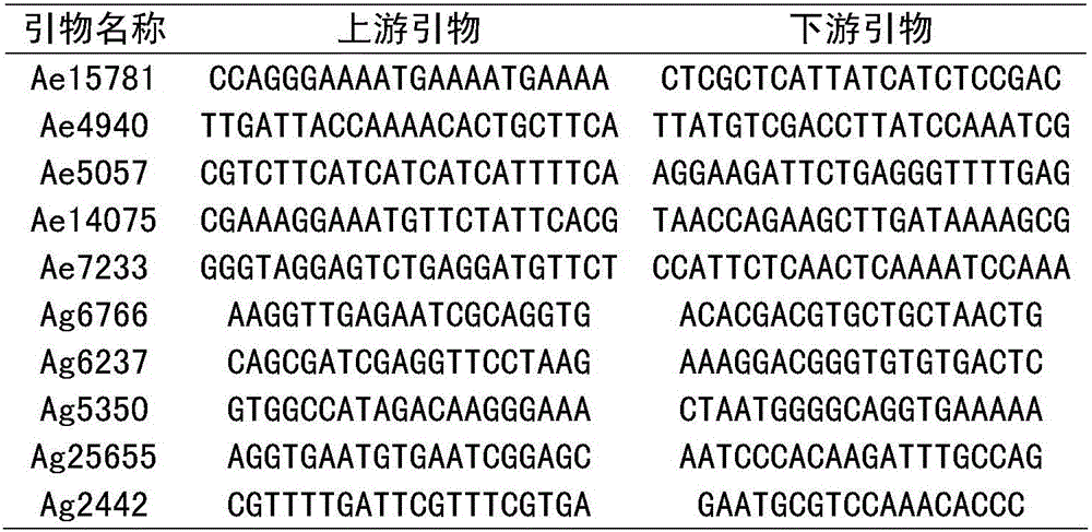 Method for identifying red bean varieties by utilizing genome SSR and EST-SSR fingerprints and application