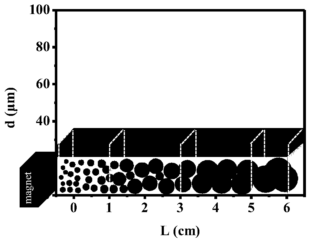 Particle size grading method of micro-nano-scale emulsion droplets and solid particles