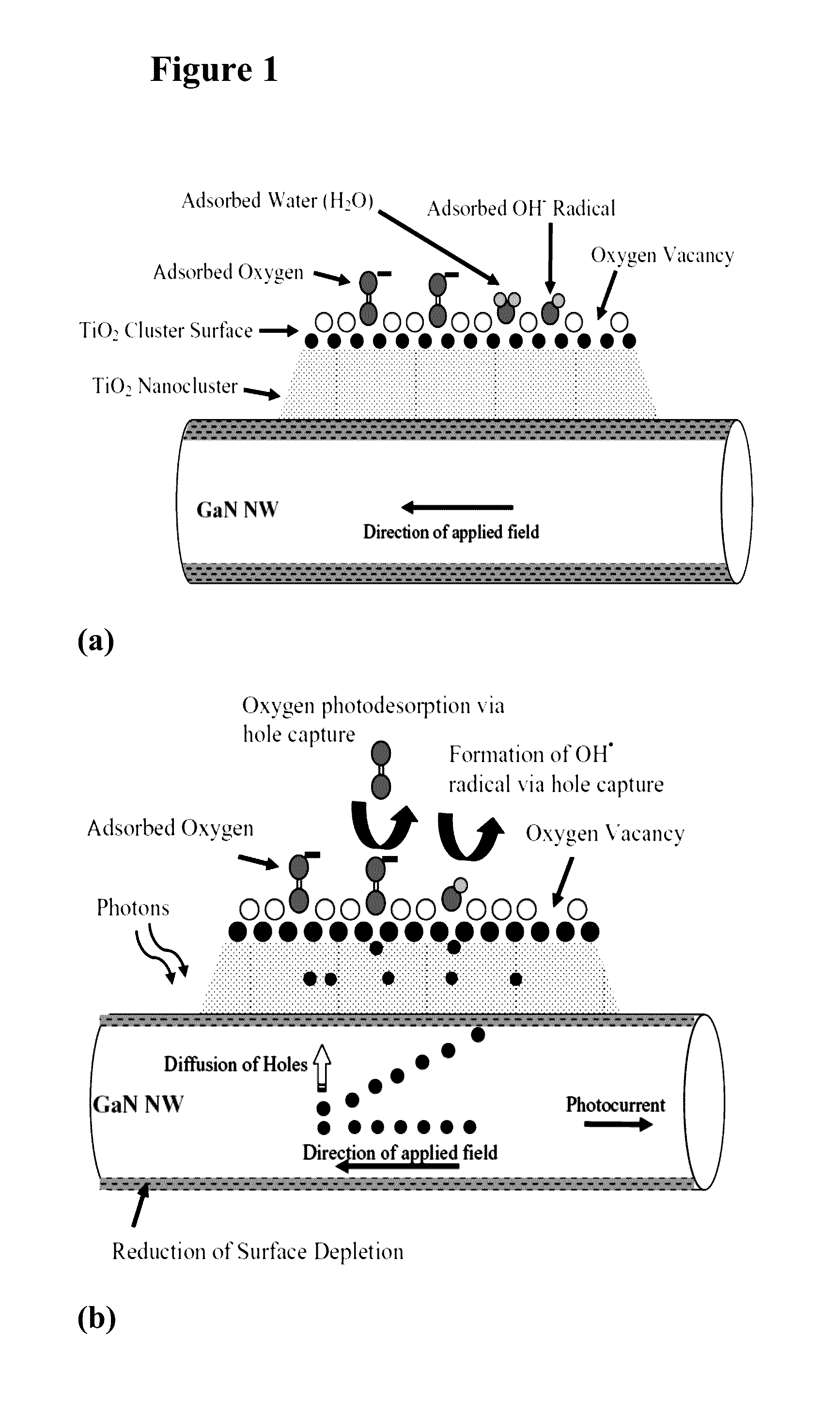Highly Selective Nanostructure Sensors and Methods of Detecting Target Analytes