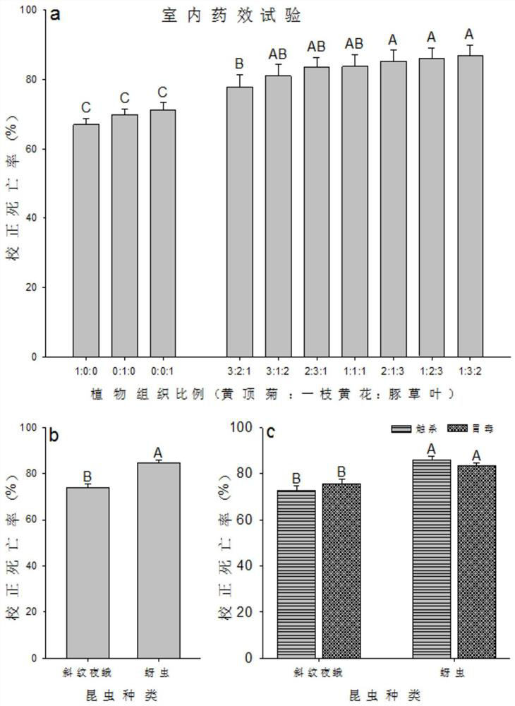 A kind of broad-spectrum botanical insecticide and preparation method thereof