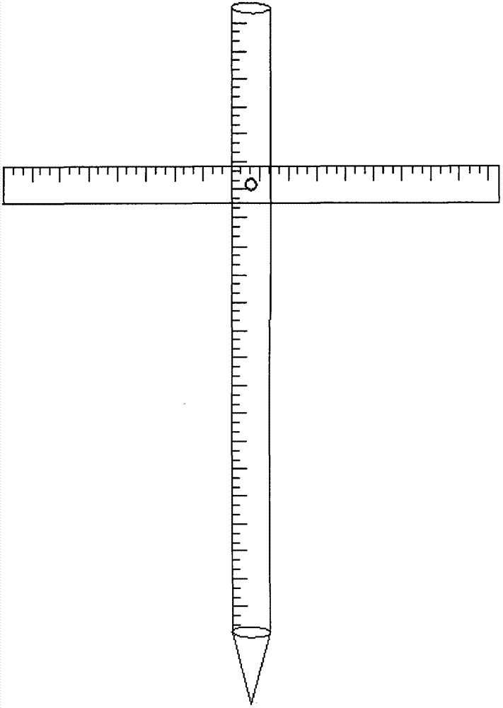 Method for measuring diameter at breast height and tree height with camera