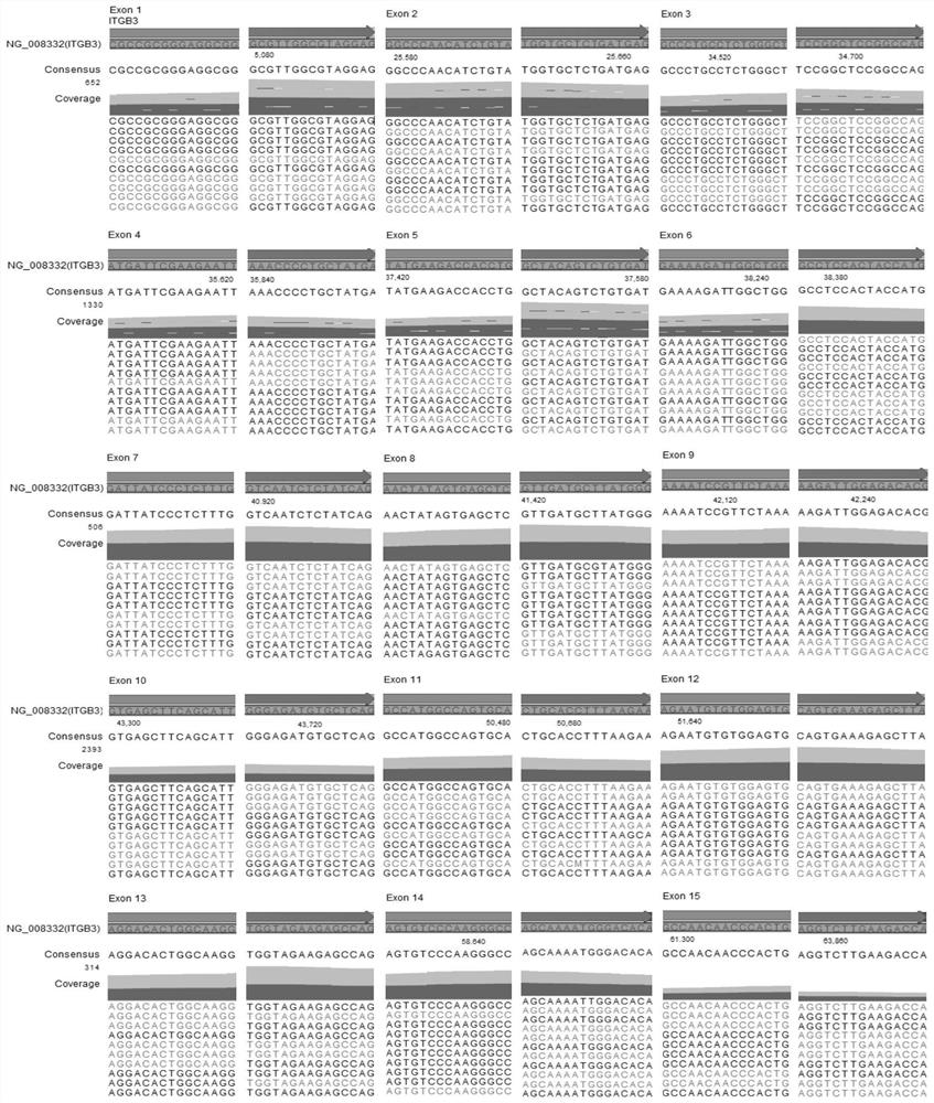 A kind of simultaneous detection kit and method of hpa and hla antigen system