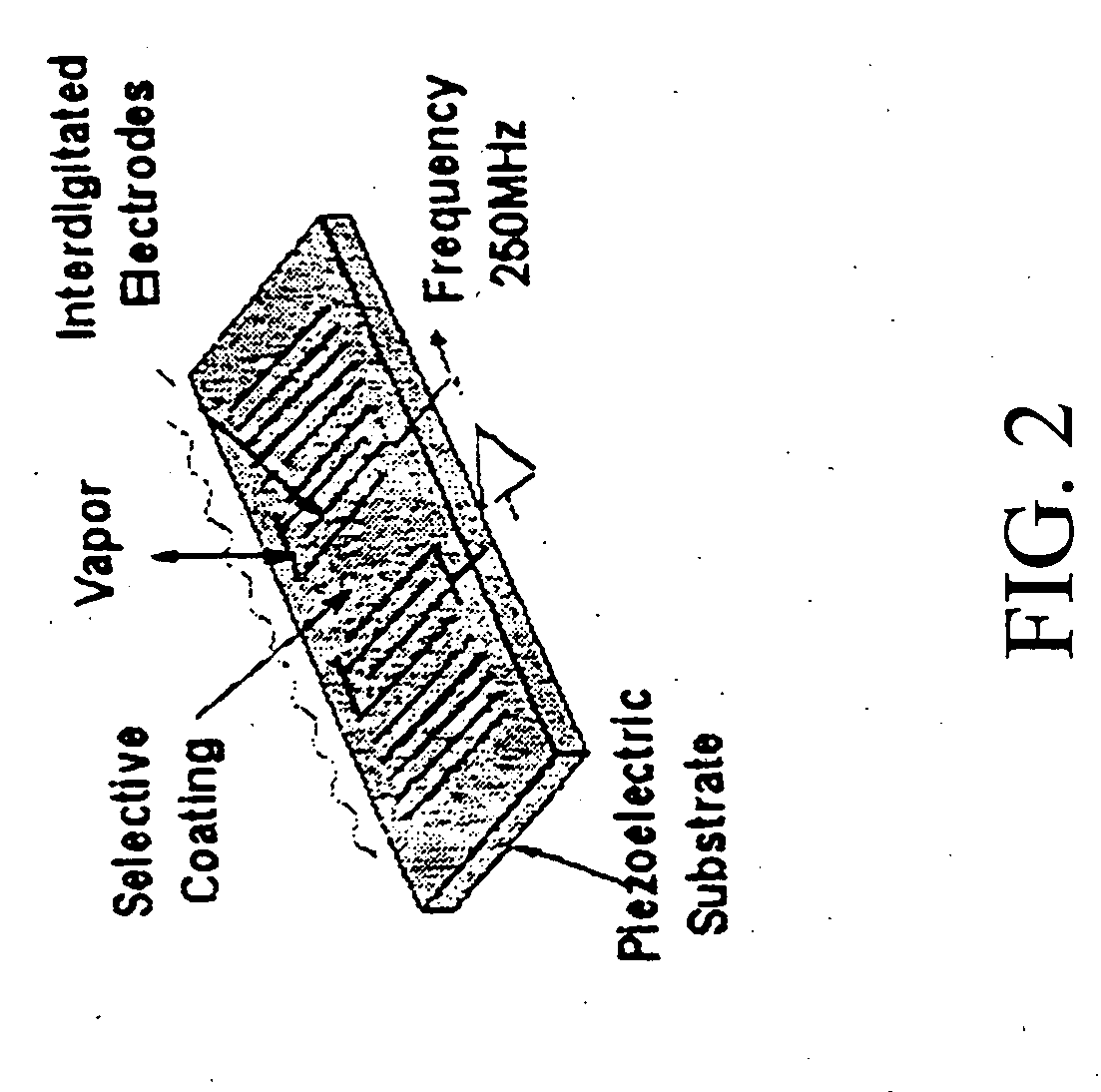 Method and apparatus for detecting humans and human remains
