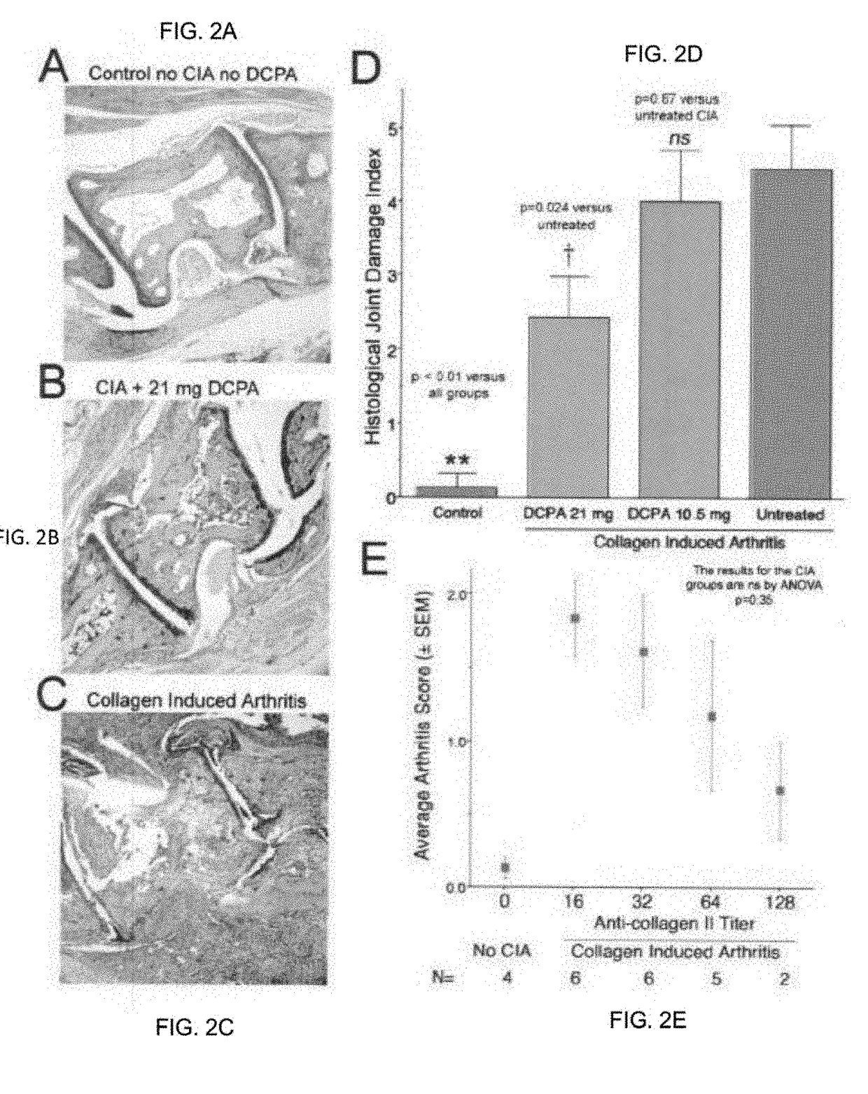 Water Soluble Haloanilide Calcium-Release Calcium Channel Inhibitory Compounds and Methods to Control Bone Erosion and Inflammation Associated with Arthritides