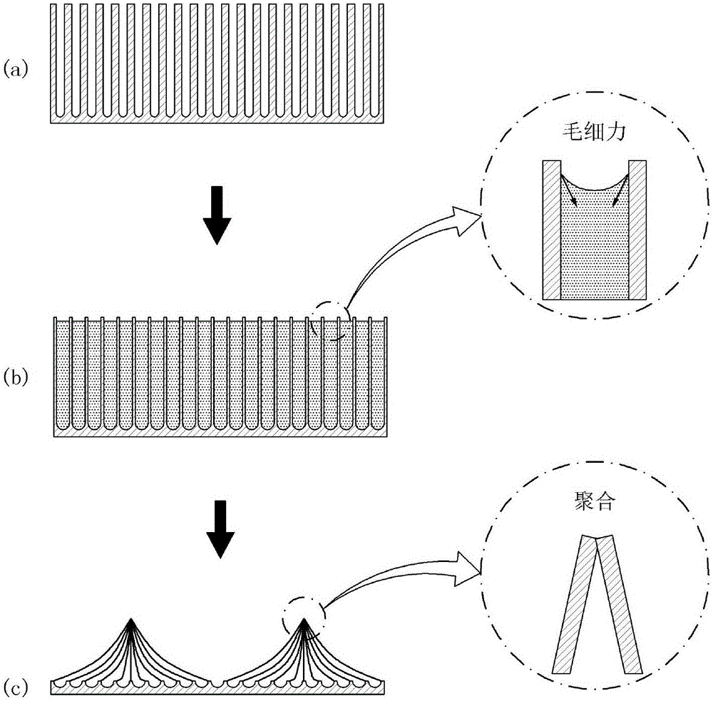 Nanowire bundle array and method for manufacturing the same