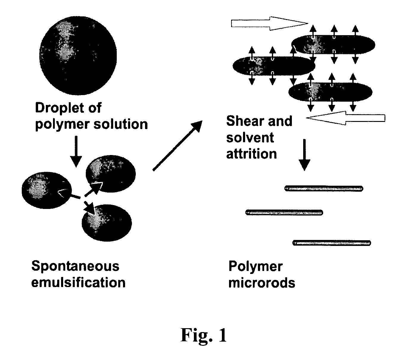 Process for preparing microrods using liquid-liquid dispersion