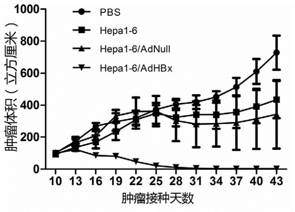 Anti-liver cancer whole cell vaccine modified by hbx and its preparation method and application