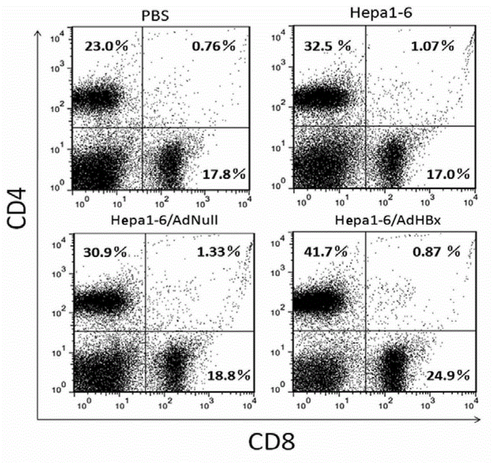 Anti-liver cancer whole cell vaccine modified by hbx and its preparation method and application