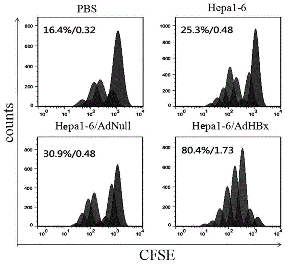 Anti-liver cancer whole cell vaccine modified by hbx and its preparation method and application