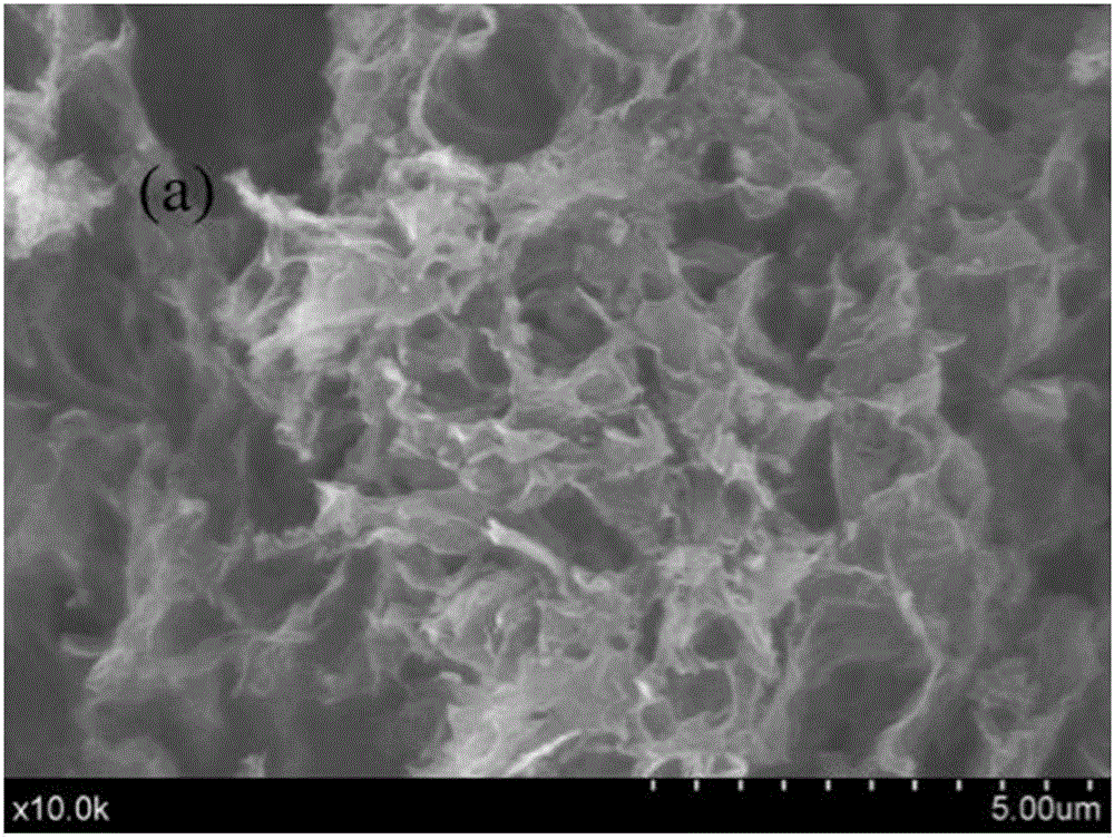 Preparation method for titanium dioxide/graphene aerogel with high specific surface area