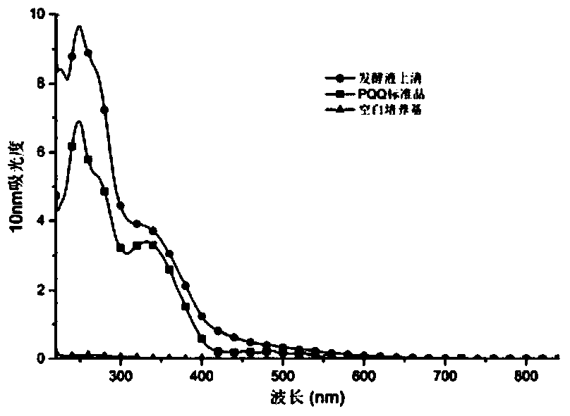 Directed domestication and breeding of methylotrophic bacteria with high yield of pyrroloquinoline quinone