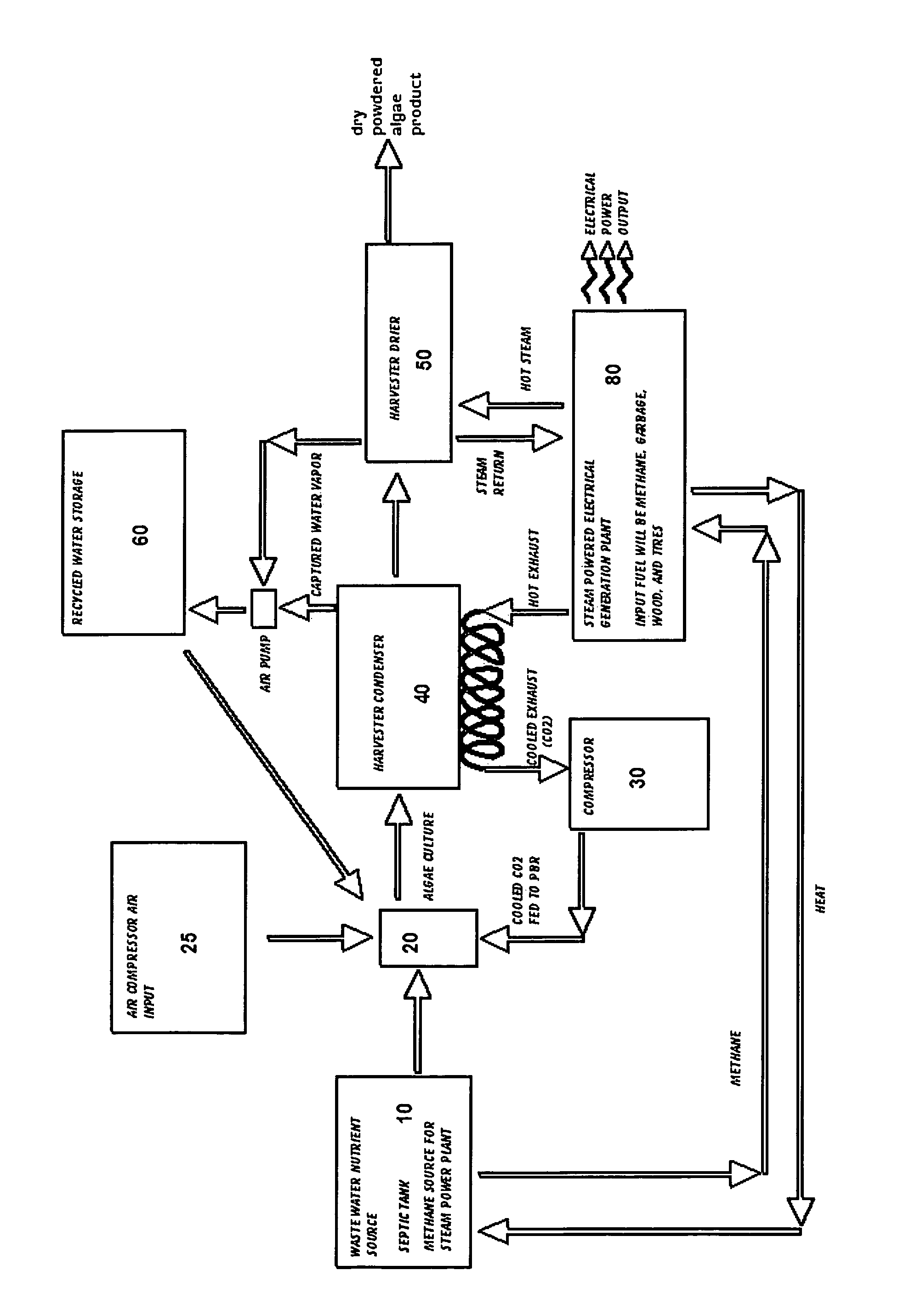 Process for a sustainable growth of algae in a bioreactor and for the extraction of a biofuel product