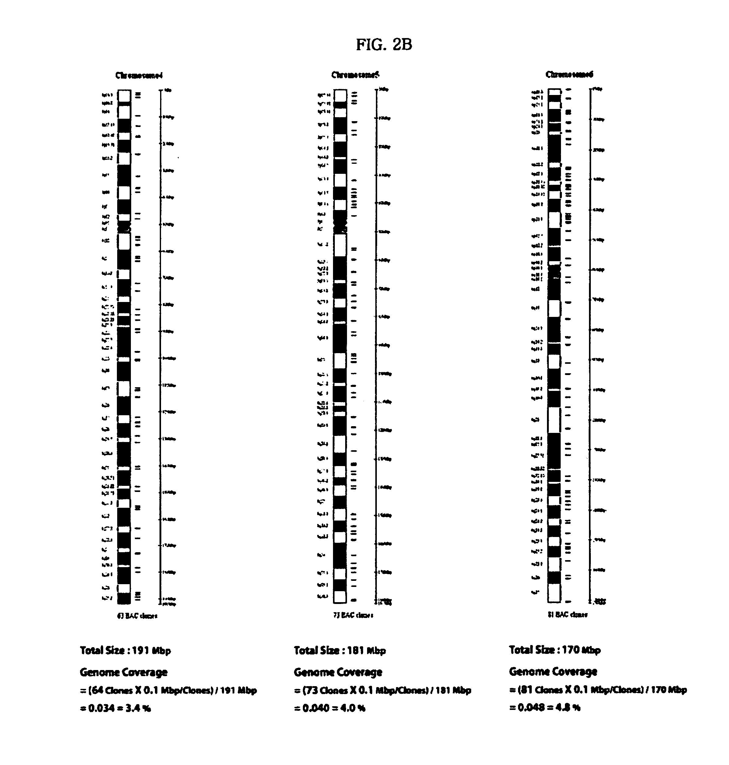 Detection method for chromosome abnormality and microarray chip