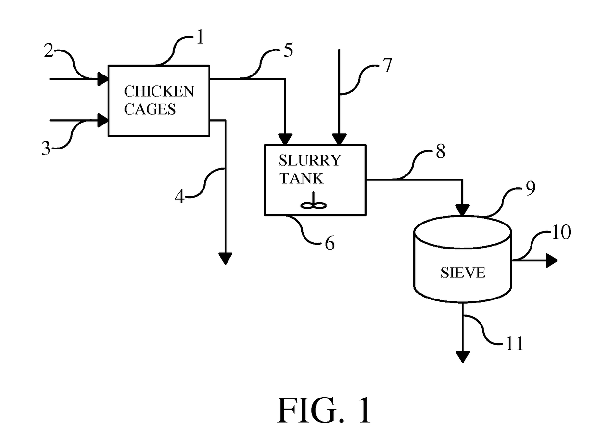 Method to sporulate coccidial oocysts purified from animal faeces, sporulated oocysts obtained with this method and a vaccine containing these sporulated oocysts