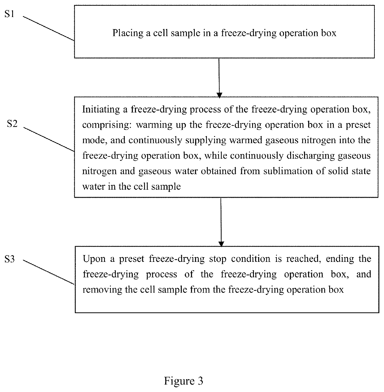Cell freeze-drying system and method
